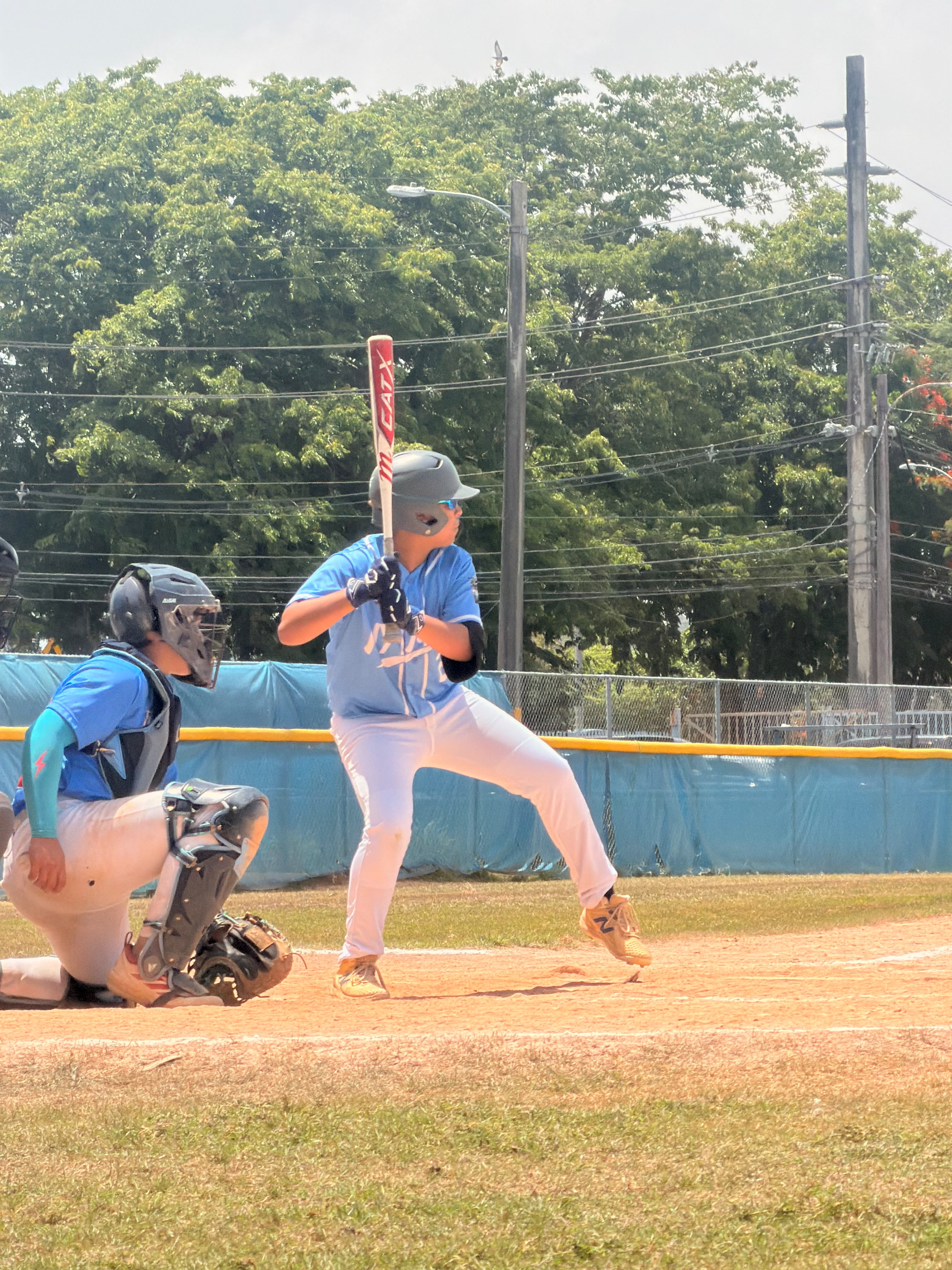 NY Tanks batter at the plate
